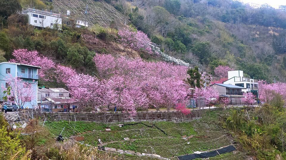 La La Shan 5.5Knong Zhuang Hualing Exteriér fotografie